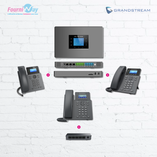 [PACK-VOIP-BASIC] Pack Standard Téléphonie IP (VoiP) - Basic