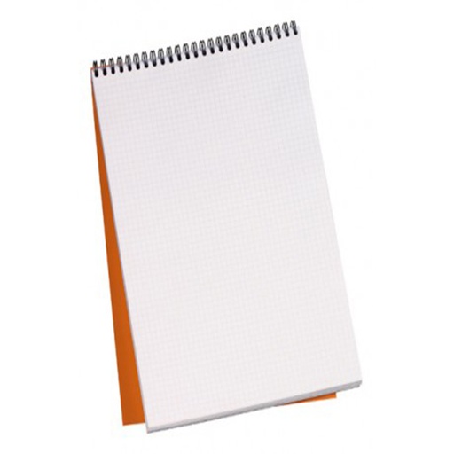 [DF-0003] Bloc Note A5 100p 70g Panda Express