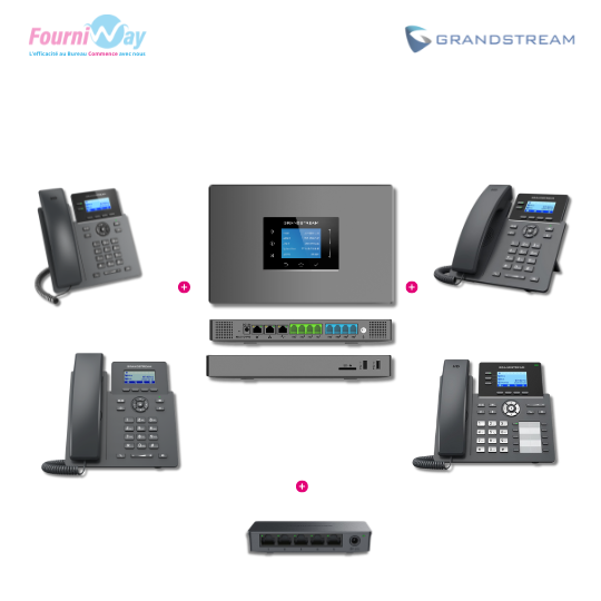 Pack Standard Téléphonie IP (VoiP) - Pro