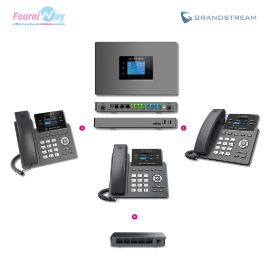 [PACK-VOIP-COULEUR] Pack Standard Téléphonie IP (VoiP) - Couleur